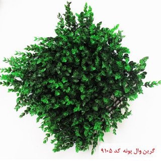 گرین وال پونه 50*50 سانتیمتر کد 9105