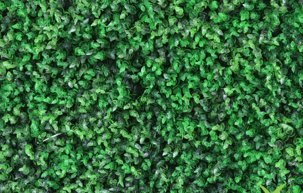 گرین وال پونه 50*50 سانتیمتر کد 9105