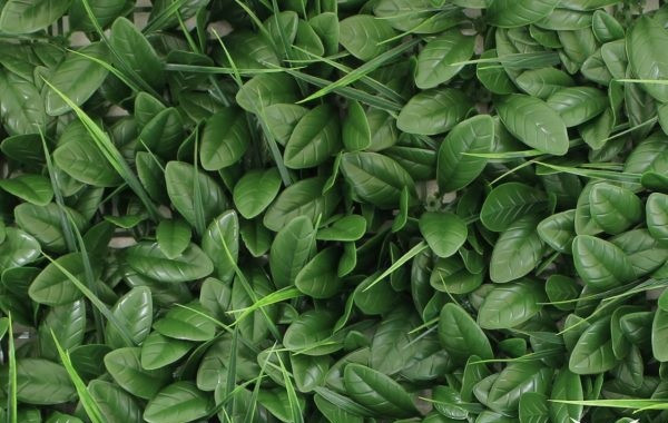 گرین وال لیندا فلفلی 50*50 سانتیمتر کد 9109