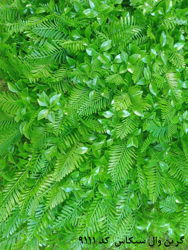 قیمت خرید دیوارپوش گرین وال