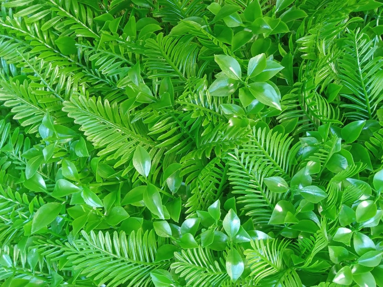 گرین وال سیکاس 50*50 سانتیمتر کد 9111