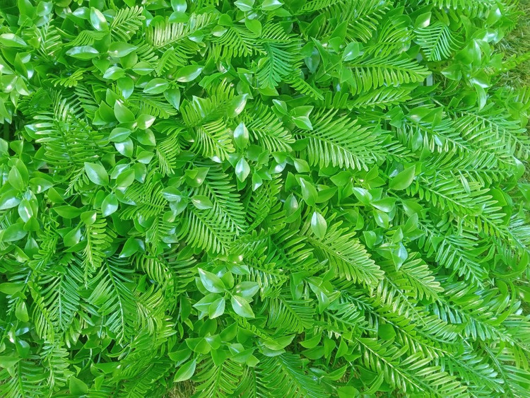 گرین وال سیکاس 50*50 سانتیمتر کد 9111