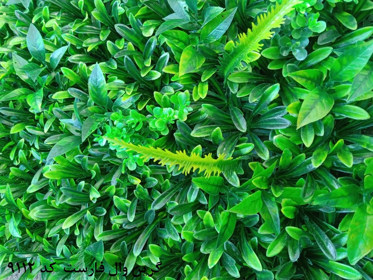 گرین وال فارست 50*50 سانتیمتر کد 9112