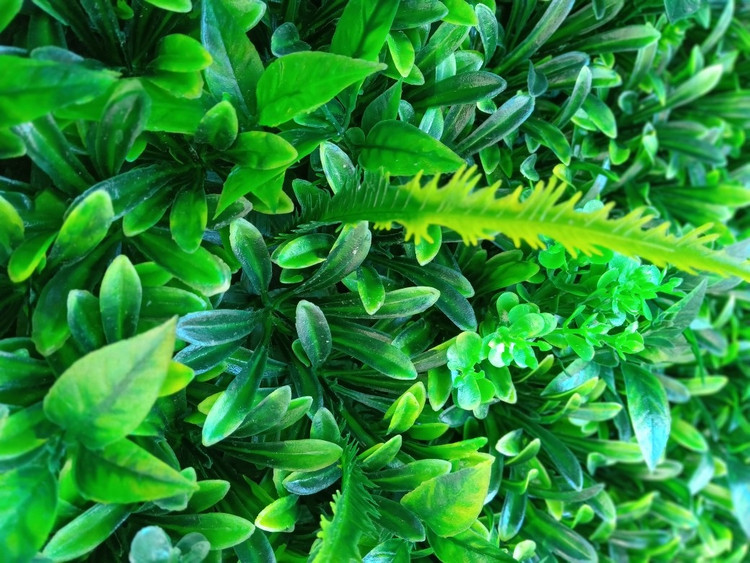 گرین وال فارست 50*50 سانتیمتر کد 9112