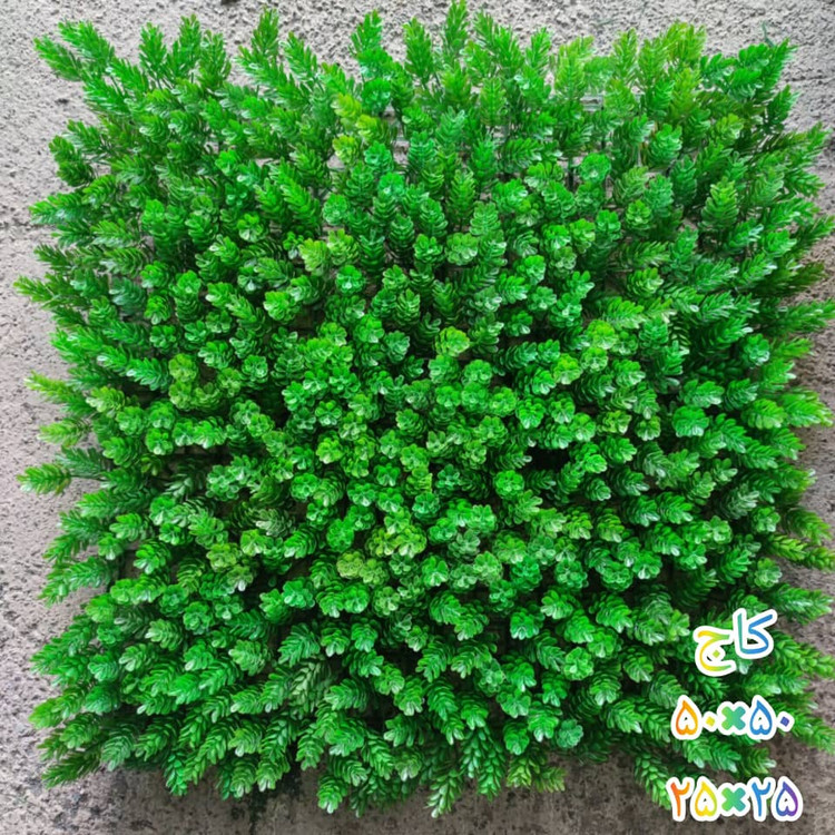 گرین وال کاج 50*50 سانتیمتر کد 9116