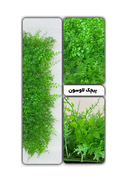 گرین وال پیچک لاوسون 50*50 سانتیمتر کد 9118
