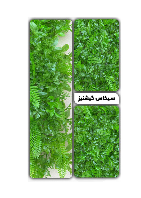 گرین وال سیکاس گیشنیز 50*50 سانتیمتر کد 9119