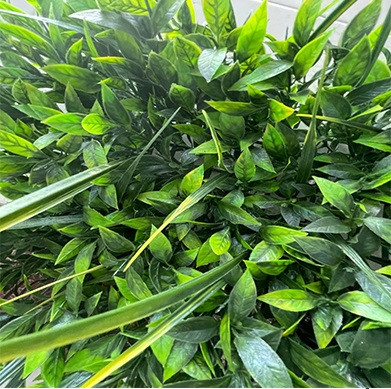 گرین وال لیندا فلفلی 50*50 سانتیمتر کد 9109